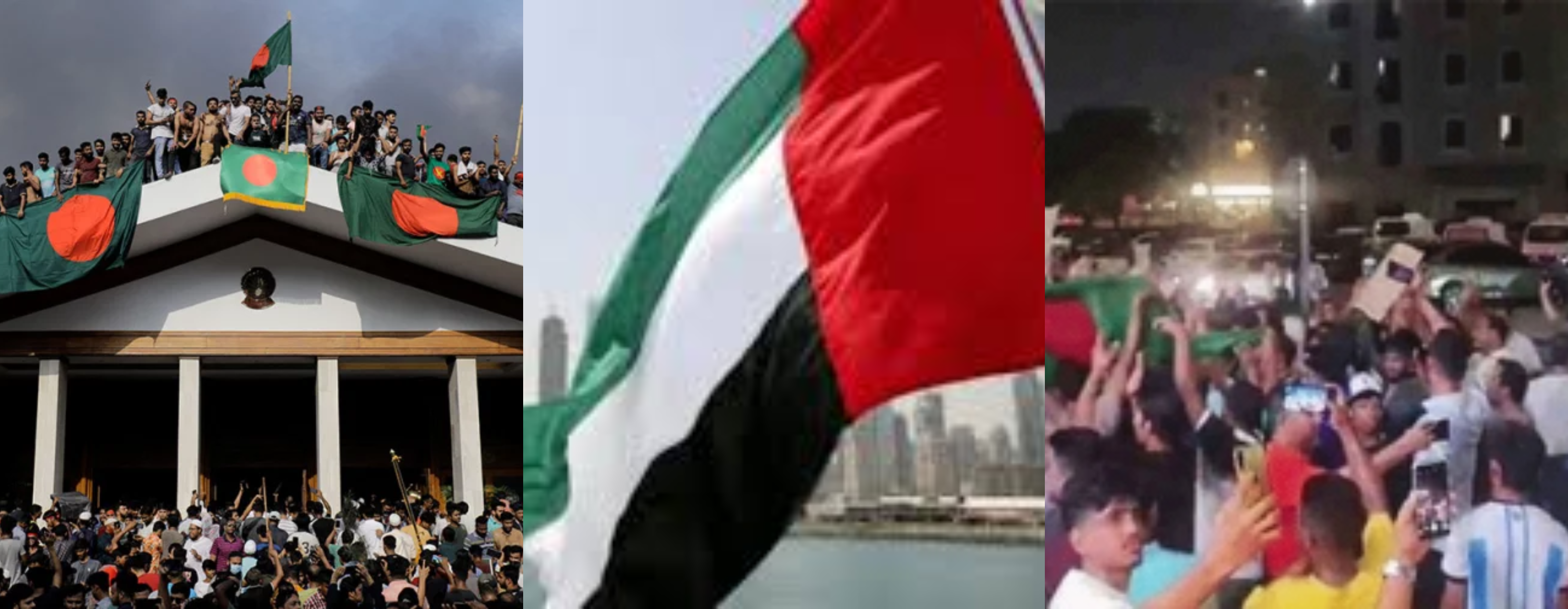 আমিরাতে বাংলাদেশের পক্ষে বিক্ষোভকারী বাকি বন্দিরাও মুক্তি পাচ্ছেন